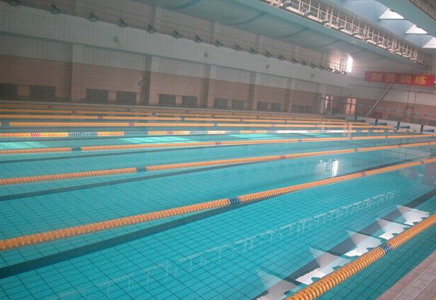 廣州珠島賓館康樂(lè)中心游泳池為室內(nèi)恒溫標(biāo)準(zhǔn)泳池，泳池水處理系統(tǒng)采用西班牙ASTRALPOOL品牌泳池設(shè)備，恒溫系統(tǒng)采用西班牙ASTRALPOOL品牌空氣源熱泵和三集一恒溫除濕一體機(jī)，我司提供技術(shù)支持及設(shè)備安裝服務(wù)。